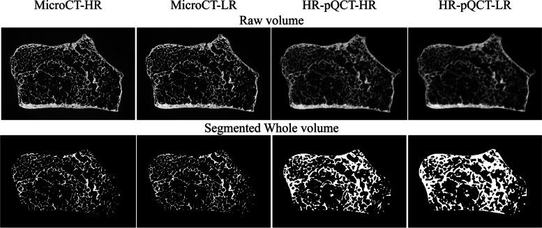 https://cdn.ncbi.nlm.nih.gov/pmc/blobs/3855/11061919/0671b2326723/12880_2024_1281_Fig2_HTML.jpg