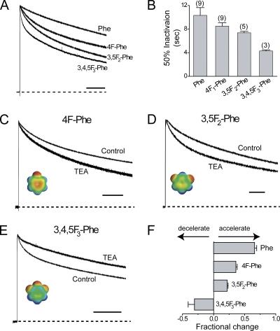 https://cdn.ncbi.nlm.nih.gov/pmc/blobs/3855/2806421/177bedb49472/JGP_200910260_RGB_Fig3.jpg