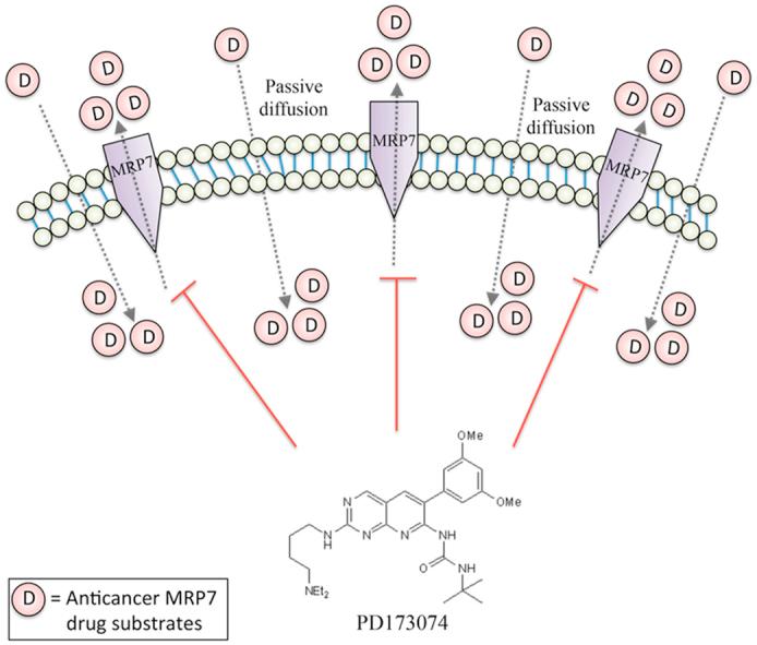https://cdn.ncbi.nlm.nih.gov/pmc/blobs/3855/4629066/1693b100fed2/fx1.jpg