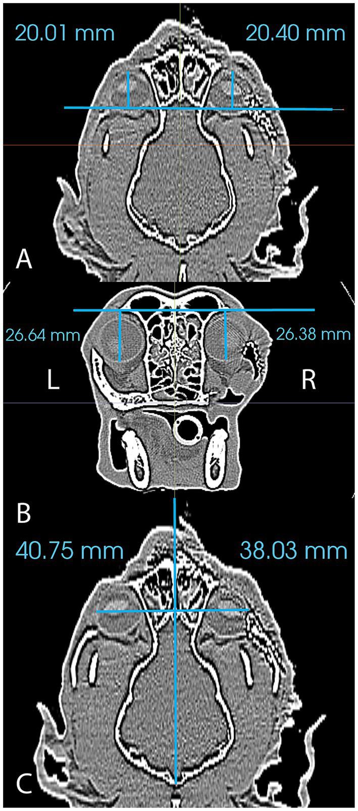 https://cdn.ncbi.nlm.nih.gov/pmc/blobs/3856/11617566/f3862307be8c/fvets-11-1485449-g003.jpg