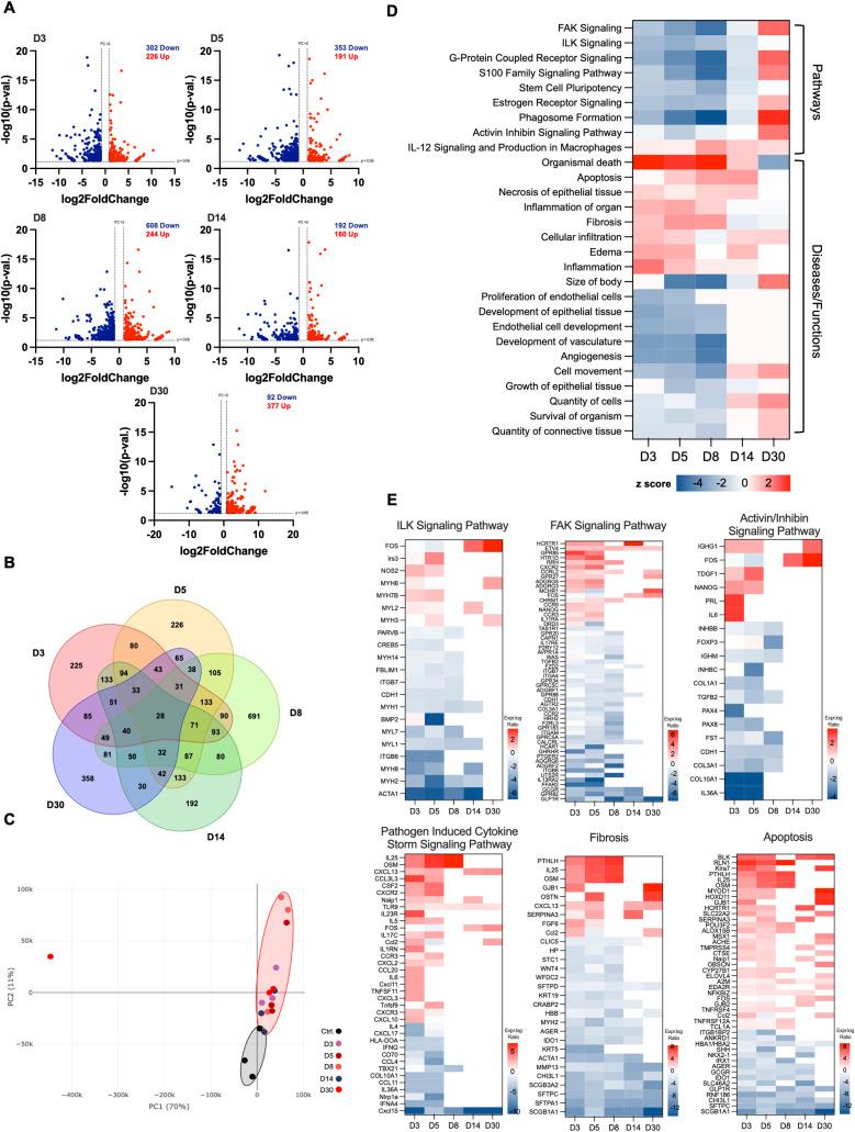https://cdn.ncbi.nlm.nih.gov/pmc/blobs/3856/11706467/0da04ced9647/ppat.1012804.g002.jpg