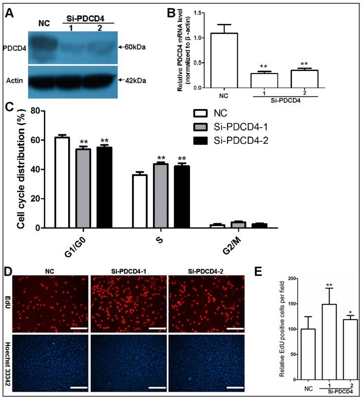 https://cdn.ncbi.nlm.nih.gov/pmc/blobs/3856/4730255/6054be674ff8/ijms-17-00008-g003.jpg