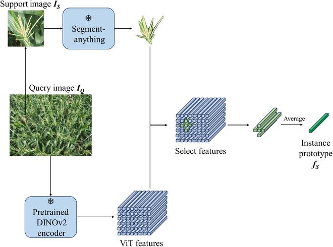 https://cdn.ncbi.nlm.nih.gov/pmc/blobs/3859/11639208/a04b9e445eef/plantphenomics.0271.fig.004.jpg