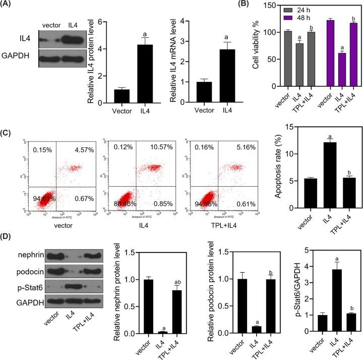https://cdn.ncbi.nlm.nih.gov/pmc/blobs/385c/7189607/ee98315a4eee/bsr-40-bsr20192920-g6.jpg