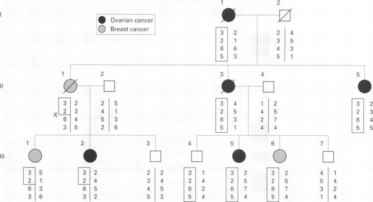 https://cdn.ncbi.nlm.nih.gov/pmc/blobs/385d/502863/4e738b8711d3/jclinpath00234-0005-a.jpg