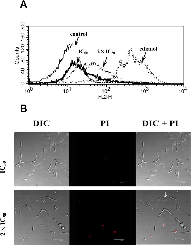 https://cdn.ncbi.nlm.nih.gov/pmc/blobs/385d/6270721/b2fc923df10a/molecules-19-14052-g007.jpg