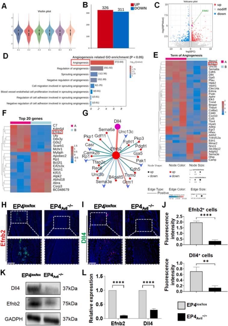 https://cdn.ncbi.nlm.nih.gov/pmc/blobs/385e/11576939/2b8723da2773/gr5.jpg