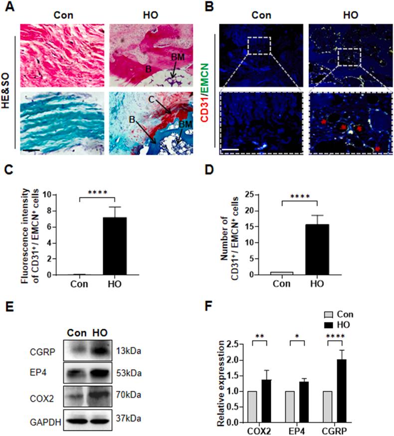 https://cdn.ncbi.nlm.nih.gov/pmc/blobs/385e/11576939/7bef2c974f27/gr1.jpg