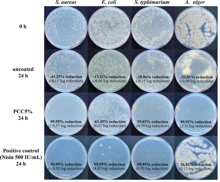 https://cdn.ncbi.nlm.nih.gov/pmc/blobs/385e/12267409/971ce4aeccda/41598_2025_10306_Fig5_HTML.jpg