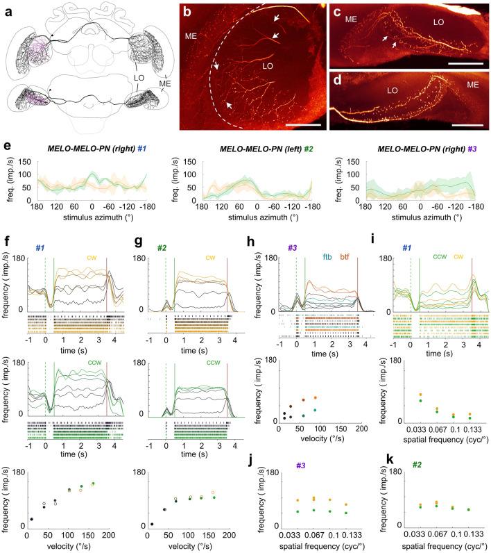 https://cdn.ncbi.nlm.nih.gov/pmc/blobs/3862/10354172/e3351d8a053d/359_2023_1625_Fig7_HTML.jpg