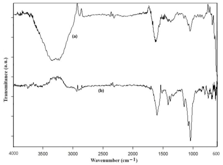 https://cdn.ncbi.nlm.nih.gov/pmc/blobs/3862/10971869/434044ed95e4/materials-17-01229-g011.jpg