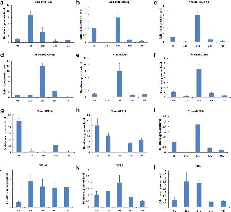 https://cdn.ncbi.nlm.nih.gov/pmc/blobs/3864/5002175/e027db0458ad/12864_2016_3032_Fig6_HTML.jpg