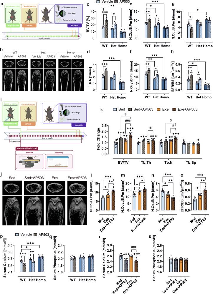 https://cdn.ncbi.nlm.nih.gov/pmc/blobs/3867/12206920/23cbdf035322/41392_2025_2291_Fig5_HTML.jpg