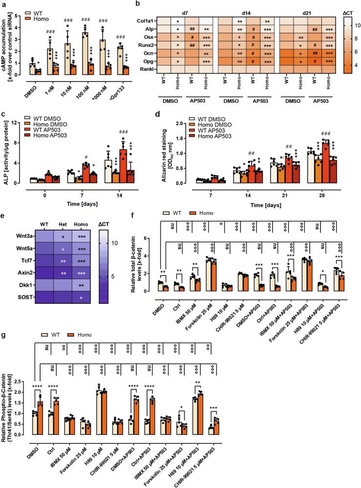 https://cdn.ncbi.nlm.nih.gov/pmc/blobs/3867/12206920/e44089e03936/41392_2025_2291_Fig3_HTML.jpg
