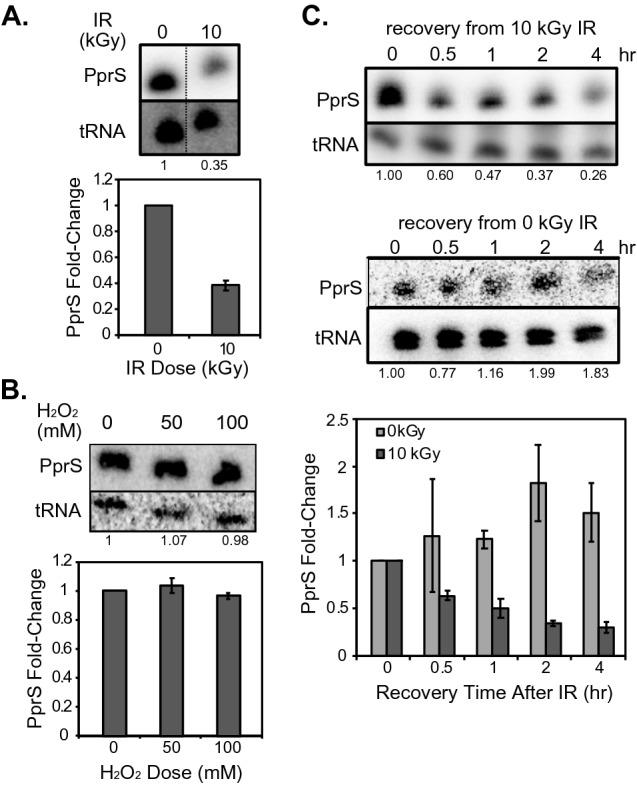 https://cdn.ncbi.nlm.nih.gov/pmc/blobs/3867/8217566/1120f9b3f290/41598_2021_91335_Fig1_HTML.jpg