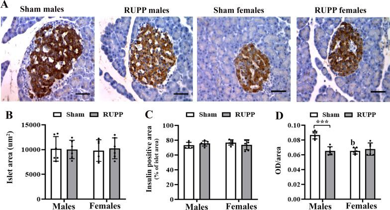 https://cdn.ncbi.nlm.nih.gov/pmc/blobs/3867/9479437/442c529357b4/13293_2022_458_Fig5_HTML.jpg