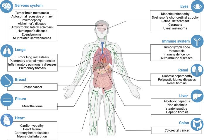 https://cdn.ncbi.nlm.nih.gov/pmc/blobs/3867/9643504/4712c05095e0/41392_2022_1191_Fig5_HTML.jpg