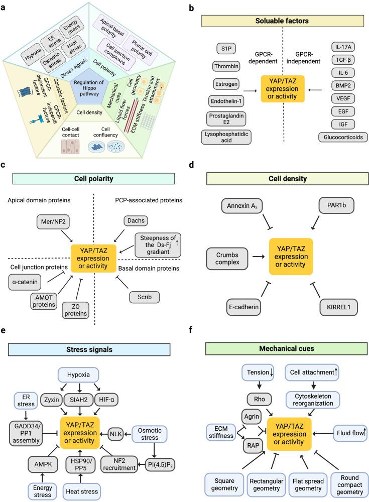 https://cdn.ncbi.nlm.nih.gov/pmc/blobs/3867/9643504/a2593dba648a/41392_2022_1191_Fig3_HTML.jpg