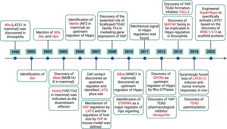 https://cdn.ncbi.nlm.nih.gov/pmc/blobs/3867/9643504/bd12aac41993/41392_2022_1191_Fig1_HTML.jpg