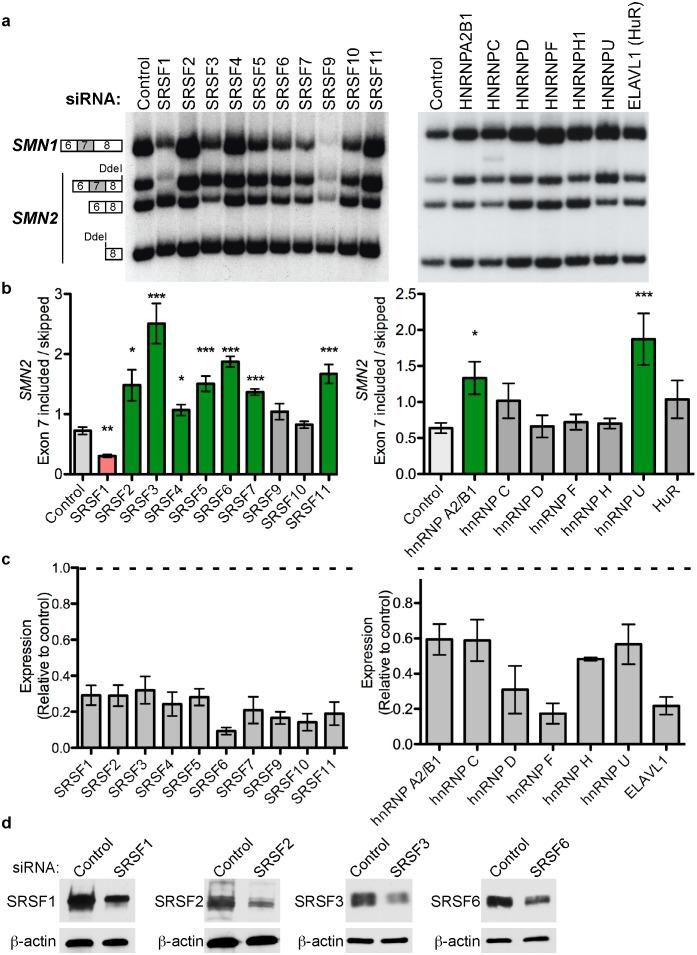 https://cdn.ncbi.nlm.nih.gov/pmc/blobs/3869/4266657/0c9d8423afc3/pone.0115205.g003.jpg