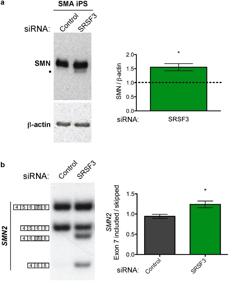 https://cdn.ncbi.nlm.nih.gov/pmc/blobs/3869/4266657/e3c1d7825737/pone.0115205.g005.jpg