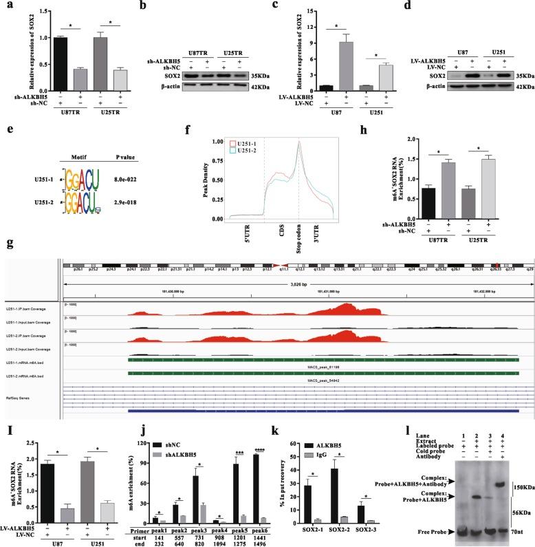 https://cdn.ncbi.nlm.nih.gov/pmc/blobs/3869/7242335/72d31e9fc964/41419_2020_2540_Fig5_HTML.jpg