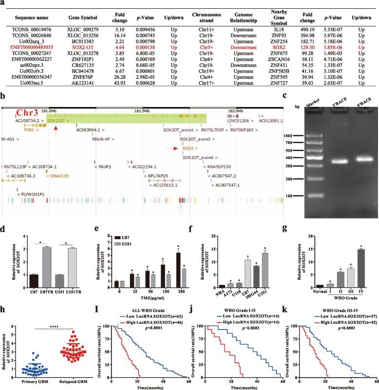 https://cdn.ncbi.nlm.nih.gov/pmc/blobs/3869/7242335/a83aef89466d/41419_2020_2540_Fig1_HTML.jpg