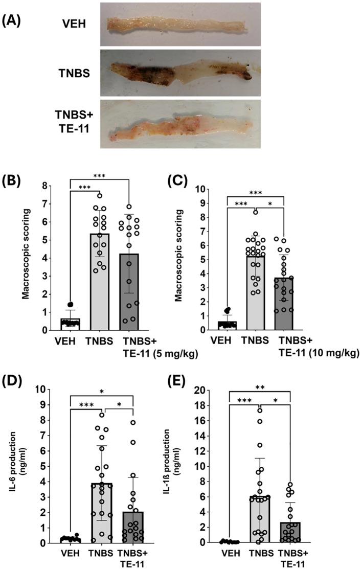 https://cdn.ncbi.nlm.nih.gov/pmc/blobs/386a/12053165/b5abea16515a/fimmu-16-1558079-g002.jpg