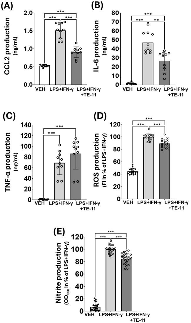 https://cdn.ncbi.nlm.nih.gov/pmc/blobs/386a/12053165/d4dff7fd7f2f/fimmu-16-1558079-g007.jpg