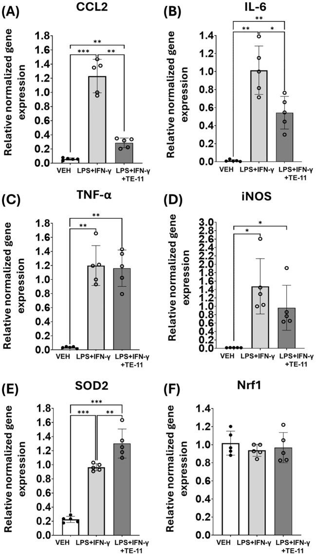 https://cdn.ncbi.nlm.nih.gov/pmc/blobs/386a/12053165/d531e30f3b8a/fimmu-16-1558079-g006.jpg