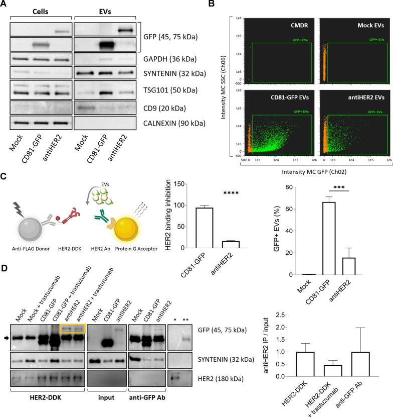 https://cdn.ncbi.nlm.nih.gov/pmc/blobs/386b/11475557/f8531dd18255/12929_2024_1084_Fig3_HTML.jpg