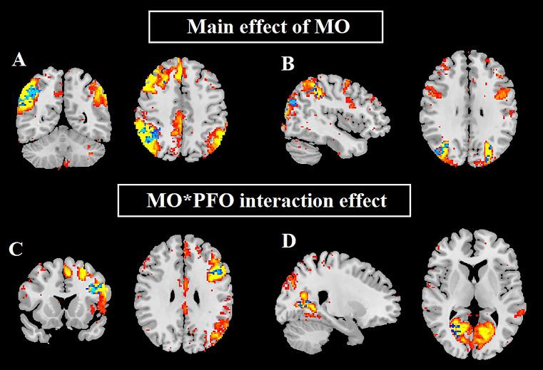 https://cdn.ncbi.nlm.nih.gov/pmc/blobs/386c/11364569/aeeab9ed1d49/11682_2024_868_Fig1_HTML.jpg