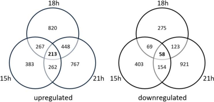 https://cdn.ncbi.nlm.nih.gov/pmc/blobs/386c/12333218/96fc0e8446e9/13068_2025_2681_Fig6_HTML.jpg