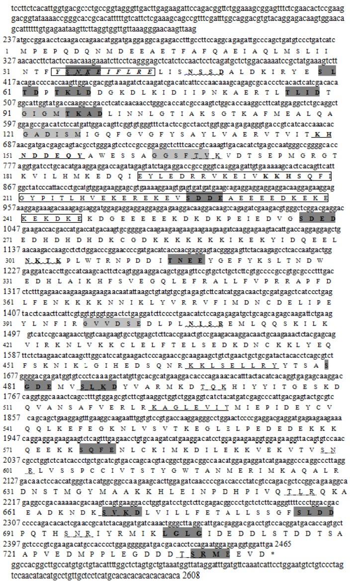 https://cdn.ncbi.nlm.nih.gov/pmc/blobs/386d/4773752/b57eb7fc0ec3/genes-07-00008-g001.jpg