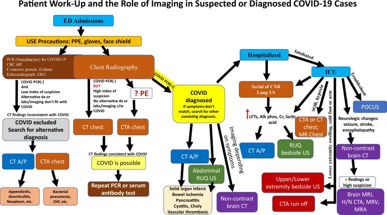 https://cdn.ncbi.nlm.nih.gov/pmc/blobs/3872/7646410/9b16d94b52eb/rg.2020200195.fig1.jpg