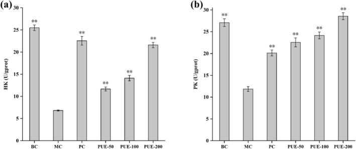 https://cdn.ncbi.nlm.nih.gov/pmc/blobs/3873/12056237/25a2aee9444a/FSN3-13-e70257-g001.jpg