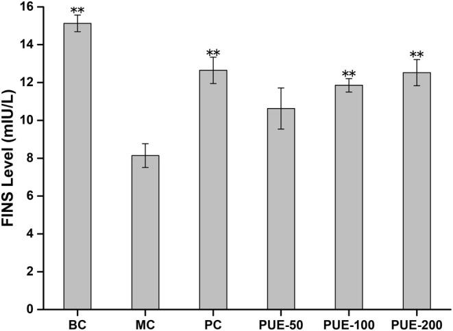 https://cdn.ncbi.nlm.nih.gov/pmc/blobs/3873/12056237/93c0adff6b5d/FSN3-13-e70257-g004.jpg