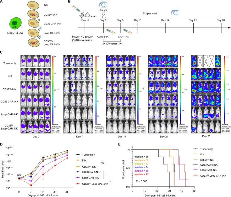 https://cdn.ncbi.nlm.nih.gov/pmc/blobs/3874/12421167/5dacbb0f9fd0/jitc-13-9-g006.jpg
