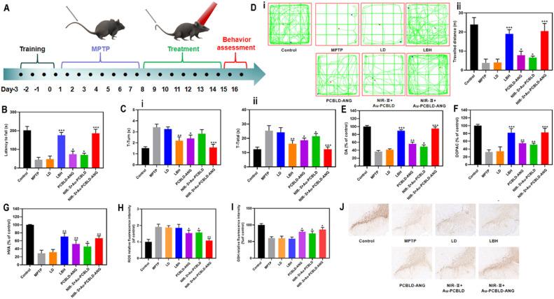 https://cdn.ncbi.nlm.nih.gov/pmc/blobs/3876/11616058/0d35bff8f8ce/gr7.jpg