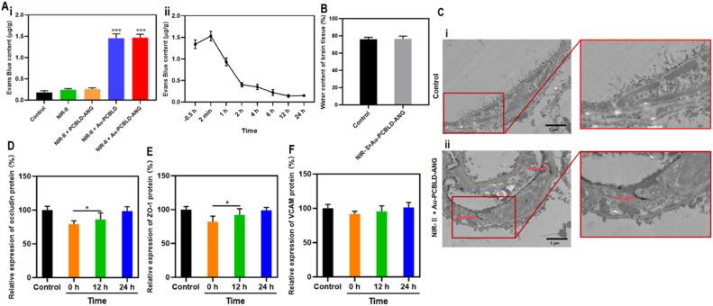 https://cdn.ncbi.nlm.nih.gov/pmc/blobs/3876/11616058/5c5b7084c29d/gr6.jpg