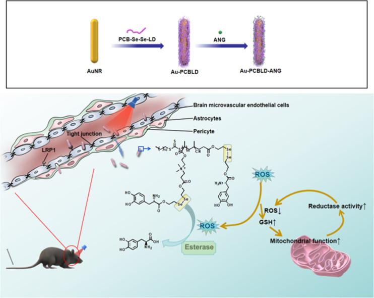 https://cdn.ncbi.nlm.nih.gov/pmc/blobs/3876/11616058/d3d87413e5d9/ga1.jpg
