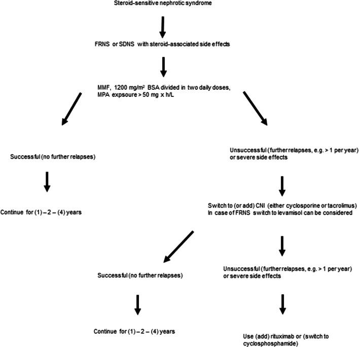 https://cdn.ncbi.nlm.nih.gov/pmc/blobs/3876/8445862/d5a6f885ab9d/467_2021_5136_Fig1_HTML.jpg