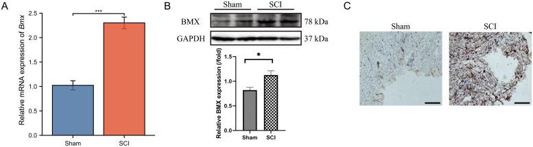 https://cdn.ncbi.nlm.nih.gov/pmc/blobs/387a/12262871/a94698ec09be/pone.0328002.g011.jpg