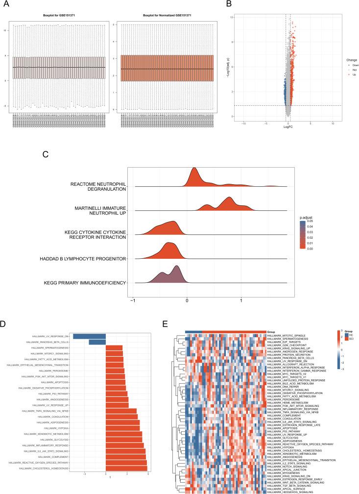 https://cdn.ncbi.nlm.nih.gov/pmc/blobs/387a/12262871/b611699570dd/pone.0328002.g002.jpg
