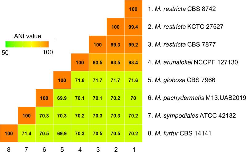 https://cdn.ncbi.nlm.nih.gov/pmc/blobs/387a/9241646/8a18600b4230/spectrum.00506-22-f002.jpg