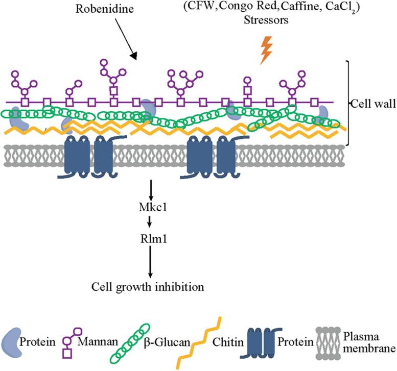 https://cdn.ncbi.nlm.nih.gov/pmc/blobs/387b/7283467/566b923fbf51/fmicb-11-00996-g008.jpg