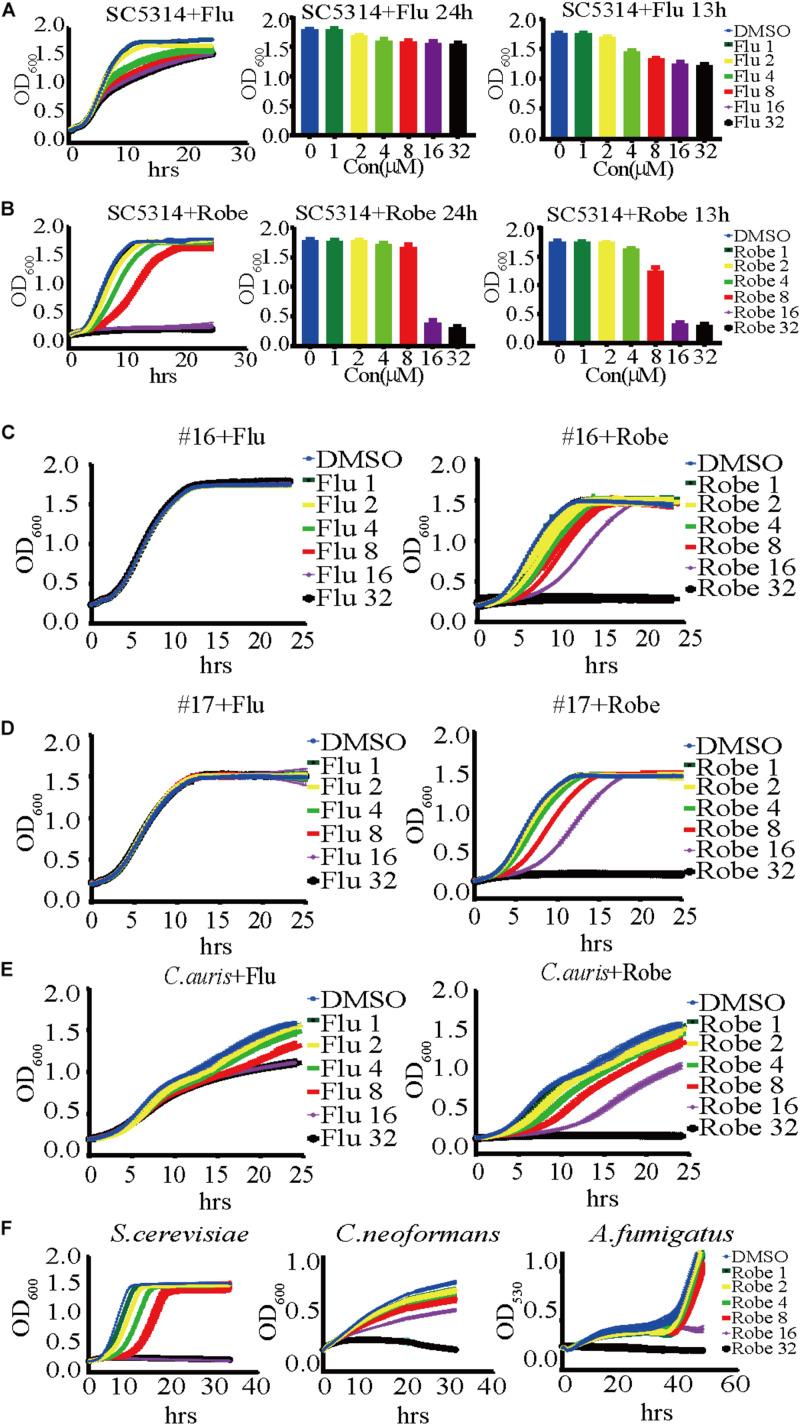 https://cdn.ncbi.nlm.nih.gov/pmc/blobs/387b/7283467/7e1da4a7d0fe/fmicb-11-00996-g001.jpg