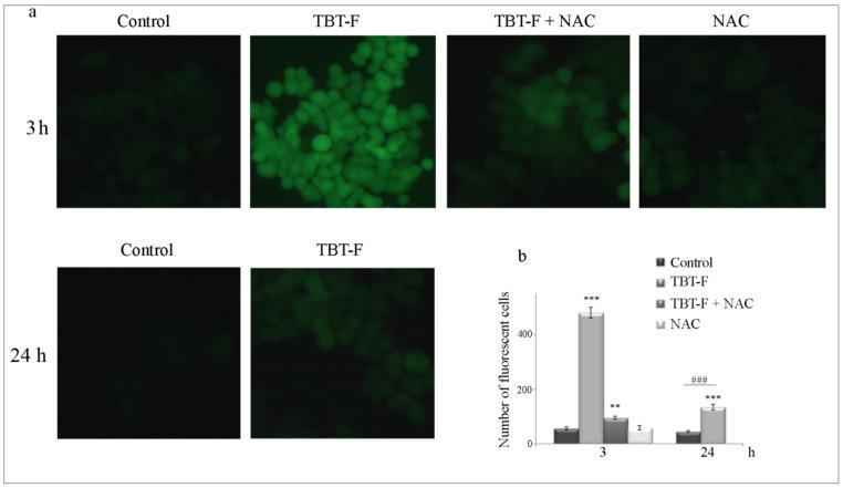 https://cdn.ncbi.nlm.nih.gov/pmc/blobs/387e/7663760/6651bc8a8223/ijms-21-08135-g001.jpg