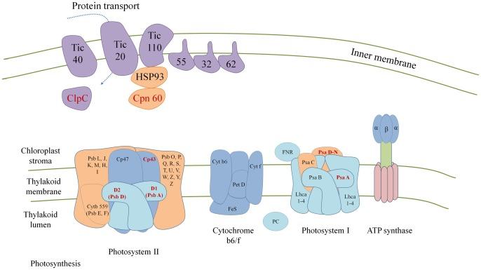 https://cdn.ncbi.nlm.nih.gov/pmc/blobs/387f/3712967/20e8bcfda493/pone.0068232.g004.jpg