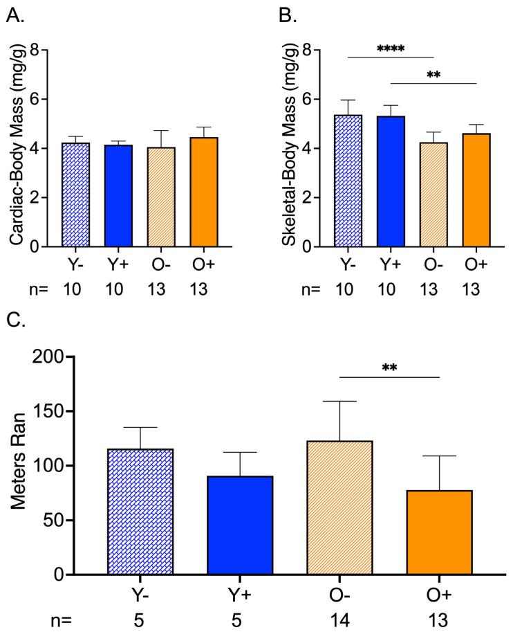 https://cdn.ncbi.nlm.nih.gov/pmc/blobs/3881/10220805/658762eebf5e/metabolites-13-00671-g003.jpg
